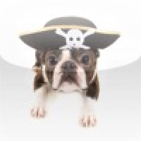 Pirate Dog Slide Puzzle