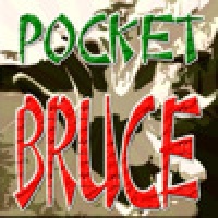 Pocket Bruce