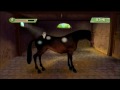 Petz: Saddle Club (PSP)