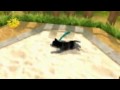 Petz Dogz Family (PSP)