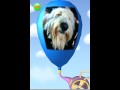 PUFF (iPhone/iPod)