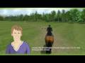 Mary King's Riding School 2 (Wii)