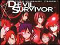 Survivor (DS)