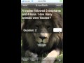 Animals (iPhone/iPod)