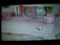 Petz My Baby Hamster (PSP)