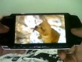 Petz My Baby Hamster (PSP)