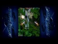 Raiden Fighters Aces (Xbox 360)