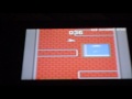 Paper Airplane Chase (DS)