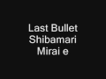 Last Bullet (DS)