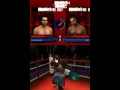 Don King Boxing (DS)
