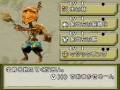 Final Fantasy Crystal Chronicles: Echoes of Time (DS)