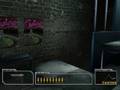 Survivor (PC)