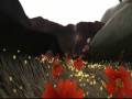 Flower (PlayStation 3)