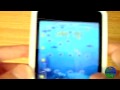 Treasure (iPhone/iPod)
