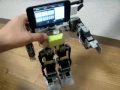 Robo (iPhone/iPod)