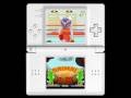 Animal Boxing (DS)