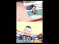 Animal Boxing (DS)