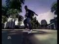Skate It (Wii)