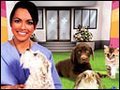 Pet Pals: Animal Doctor (Wii)