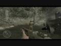 Call of Duty: World at War (Wii)