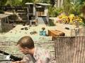Quantum of Solace (PC)
