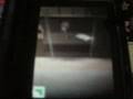 Quantum of Solace (DS)