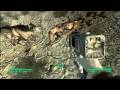 Fallout 3 (Xbox 360)