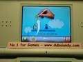 Mechanic Master (DS)