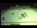 NHL 2K9 (Wii)