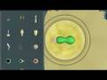 Spore (Macintosh)