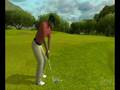 Tiger Woods PGA Tour 09 All-Play (Wii)