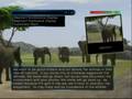 Wild Earth: African Safari (Wii)