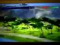 Wild Earth: African Safari (Wii)