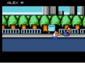 River City Ransom (Wii)