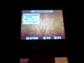 Soma Bringer (DS)