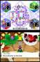 Mario Party DS (DS)