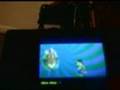 Crash of the Titans (DS)