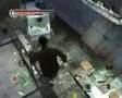 Stranglehold (PC)