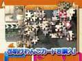 Jigsaw Puzzle (Wii)