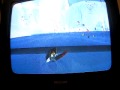 Surf's Up (Wii)