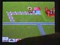 Theme Park (DS)
