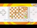 Schach (DS)