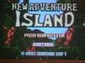New Adventure Island (Wii)