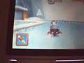 Diddy Kong Racing DS (DS)