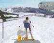 Alpine Ski Racing 2007 (PC)