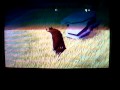 Open Season (Wii)