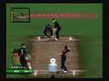 Cricket 07 (PC)