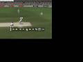 Cricket 07 (PC)