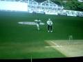 Cricket 07 (PlayStation 2)