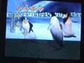 Happy Feet (Wii)
